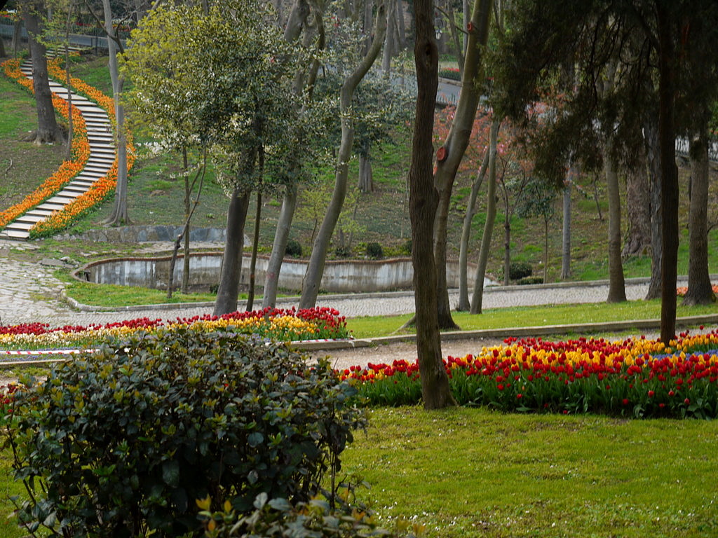 The tulip time in Istanbul